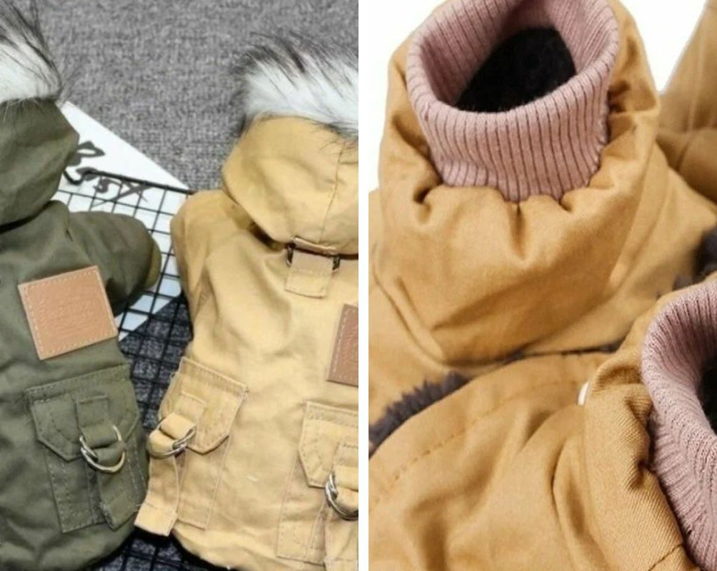 10 моделей тёплой одежды и аксессуаров для собак