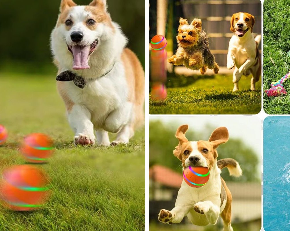 Находки AliExpress: 10 качественных игрушек для питомцев